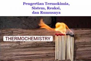 Termokimia adalah