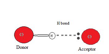 Атом донор. Hydrogen bonding gif.