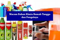 Produk Kimia dalam Rumah Tangga