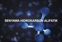 senyawa hidrokarbon alifatik