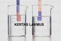 KERTAS LAKMUS