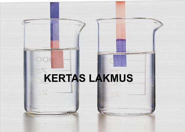 KERTAS LAKMUS