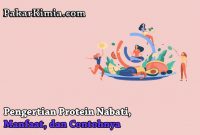 Protein Nabati Adalah