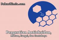 Pengertian Antioksidan