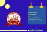Biaya Hidup di Universitas Islam Negeri Fatmawati Sukarno Bengkulu